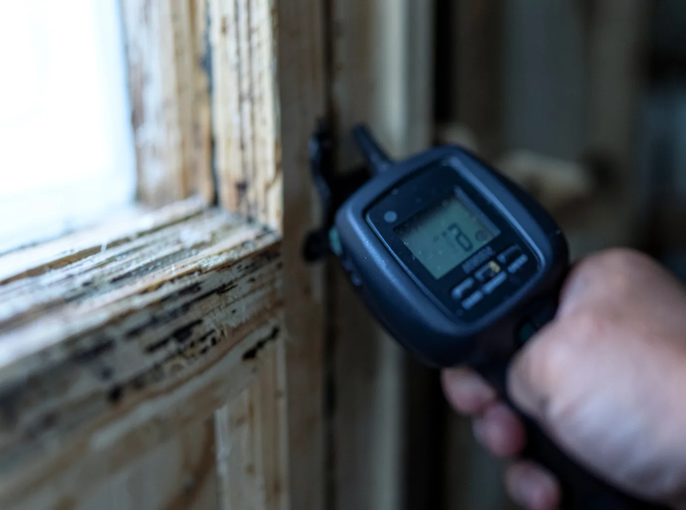 Moisture Inspection And Documentation in Sauk City, WI